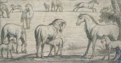 Mares and Foals by Francis Barlow